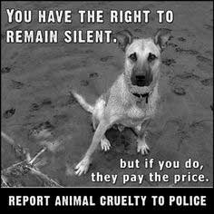 Report Animal Cruelty To The Police