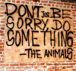 Don't Just Be Sorry, Do Something - The Animals