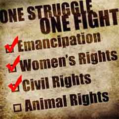 Many Ways To Stop Animal Cruelty And Suffering One Struggle One Fight