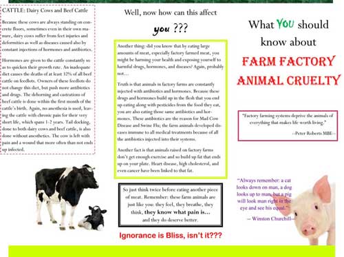 Giving Help To Animals Farm Factory Animal Cruelty Leaflet Front