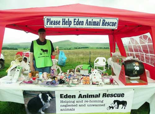 Animal Charity Fundraising Stall