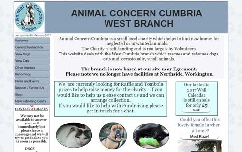 Volunteer With Animals Animal Concern West Cumbria