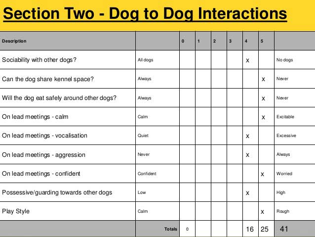 Rescue Assessment Form