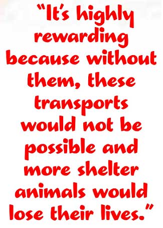 Volunteer With Animals Transport Coordinator Quote