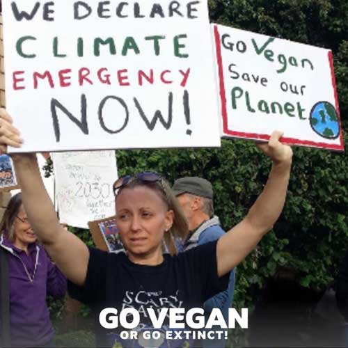 Go Vegan Or Go Extinct