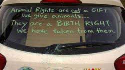 Put Animal Rights Messages On Your Car Example 3