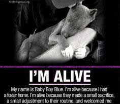 I'm Alive Because I Had A Foster Home