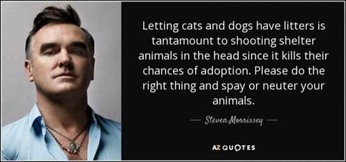 Neutered And Spayed Steven Morrissey Quote